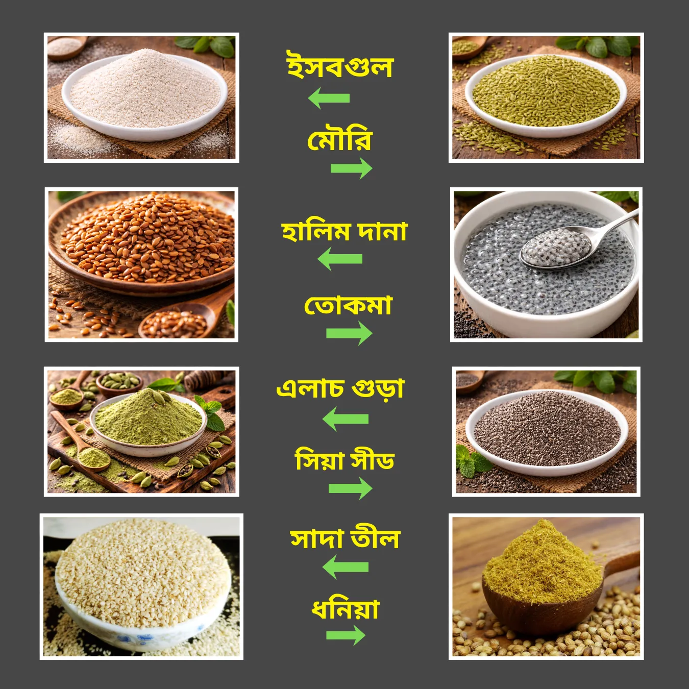 Nutra Seed Mix ( Sharbat) - নিউট্রা সীড মিক্স (শরবত)